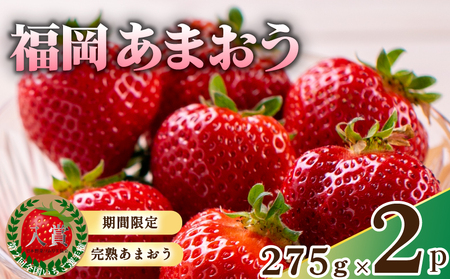 【2月より発送】あまおう 550g あまおう DNK