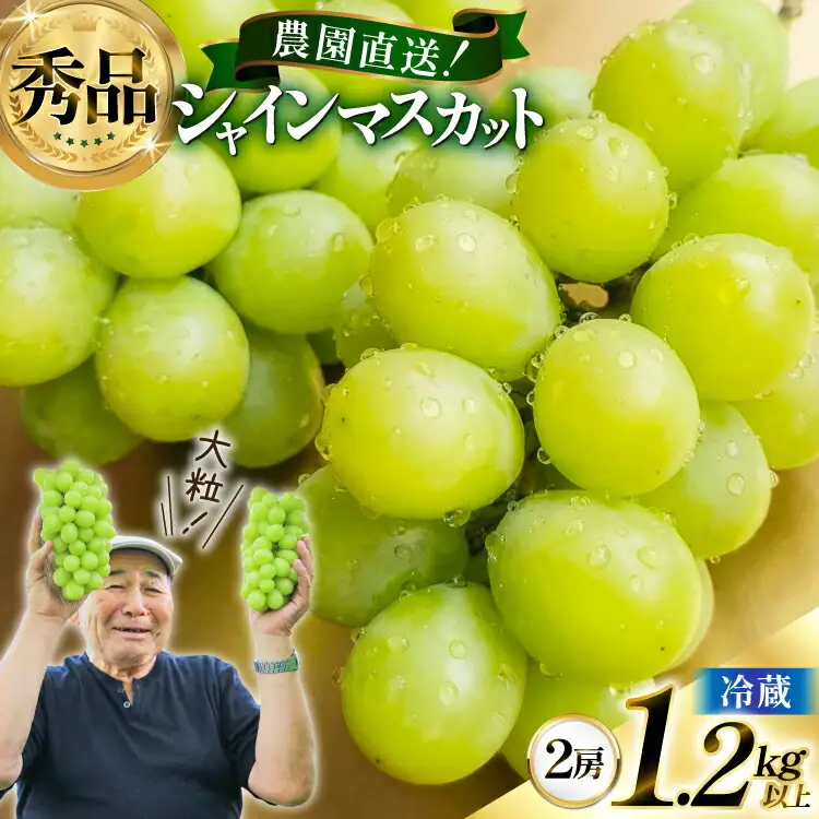 【期間限定発送】 シャインマスカット 秀 2房 1.2kg 以上 [もん前の里 山形県 高畠町 tk06ays960002]