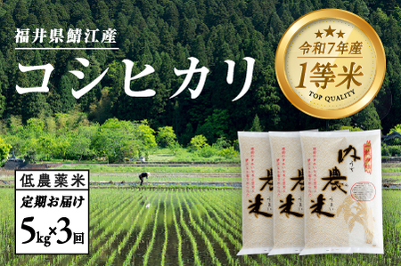 【令和7年産】【3ヶ月連続お届け】内農米コシヒカリ定期便 5kg × 3回 計15kg