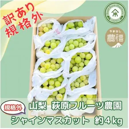 【2026年発送】山梨・萩原フルーツ農園の訳ありシャインマスカット(規格外 約4kg)【配送不可地域：離島】【1544642】