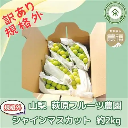 【2026年発送】山梨・萩原フルーツ農園の訳ありシャインマスカット(規格外 約2kg)【配送不可地域：離島】【1544663】