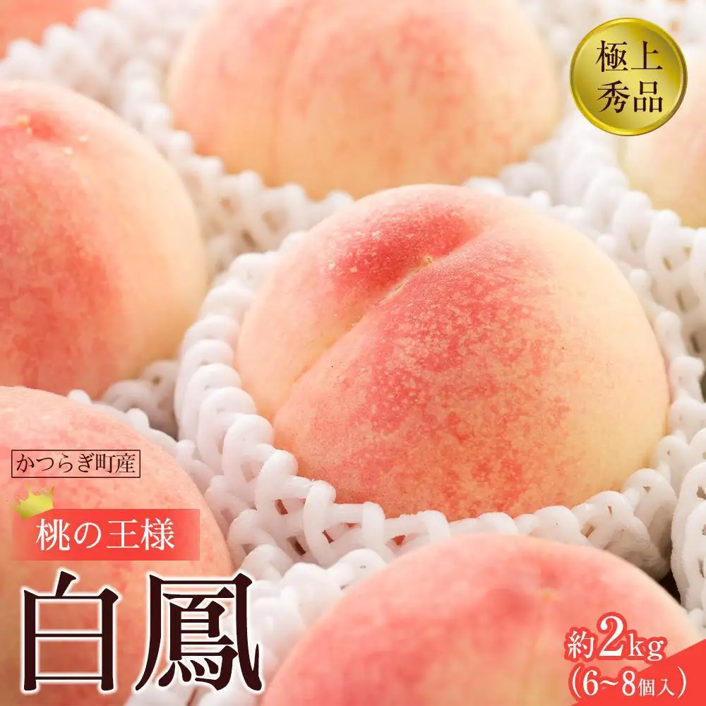 先行販売！［モモ］ 白鳳　桃の王様！約2kg6～8個 ［2026年6月下旬頃より順次発送］［秀品］こだわり農家厳選 ［KG12］