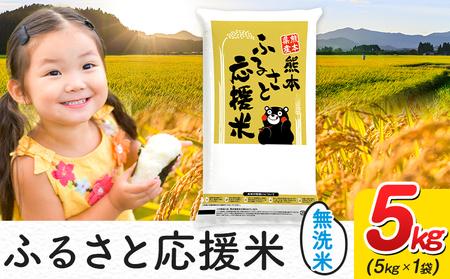 無洗米 ふるさと応援米 熊本県産 5kg 無洗米《1-5日以内に出荷予定(土日祝除く)》
