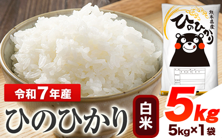 米 白米 令和7年産 ひのひかり 5kg お米《1-5日以内に出荷予定(土日祝除く)》