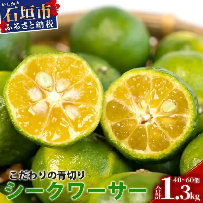 【先行予約】こだわりの青切りシークワーサー 1.3kg 約40～60個 