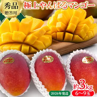 2026年発送【贈答用】極上やんばるマンゴー約3kg【秀品】 完熟 マンゴー 先行予約 冷蔵 大玉 家庭 贈答用 スイーツ スムージー プリン フルーツジュース 国産 フルーツ 果物 果実 南国 沖縄 ギフト 贈り物 プレゼント
