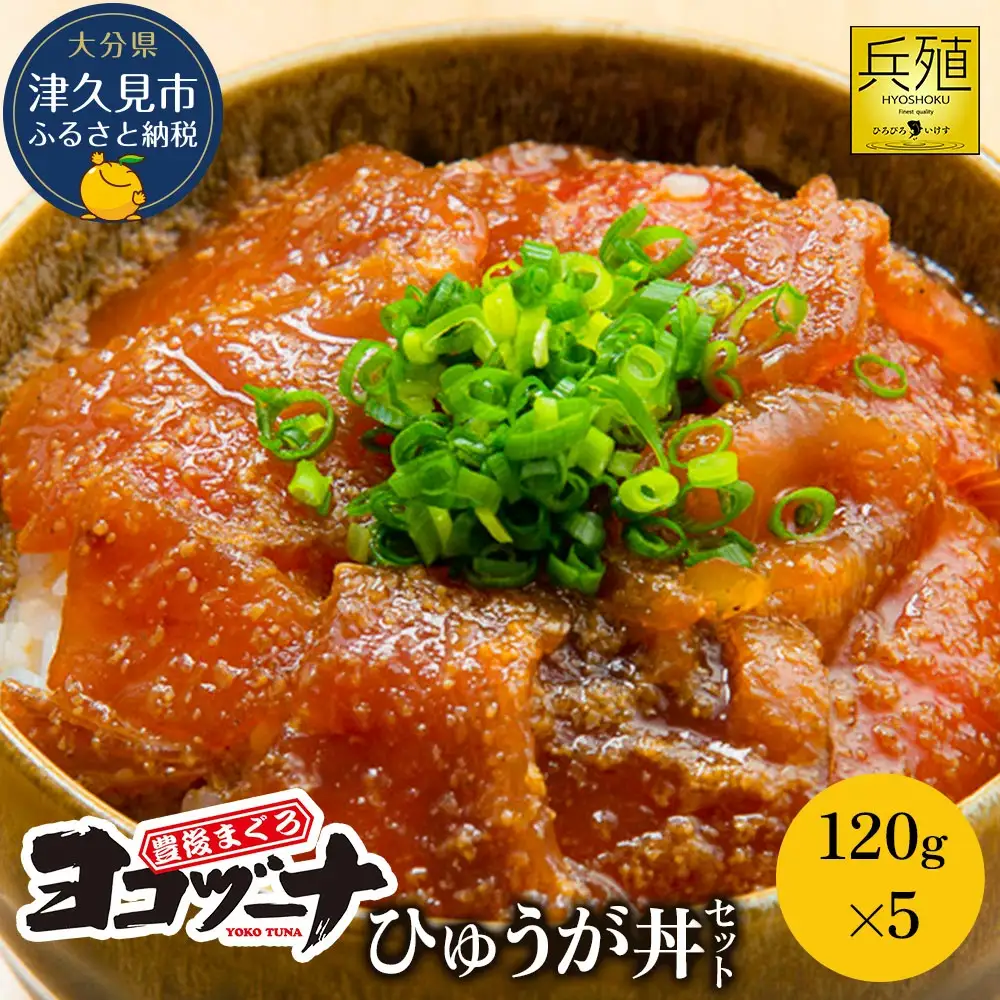 漬け丼 本マグロ ヨコヅーナ 漬け丼セット | 津久見市