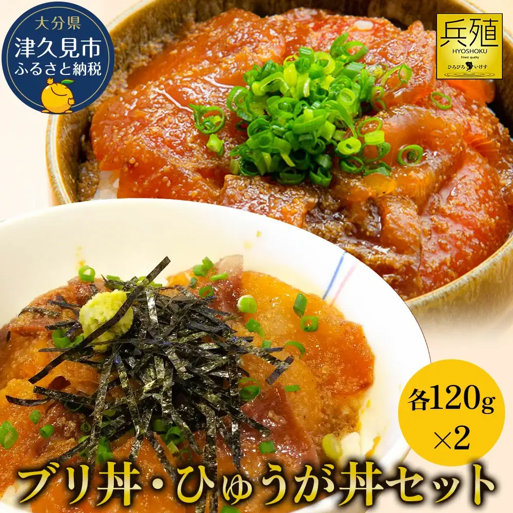 海鮮丼 ブリ・マグロ 海鮮丼セット | 津久見市