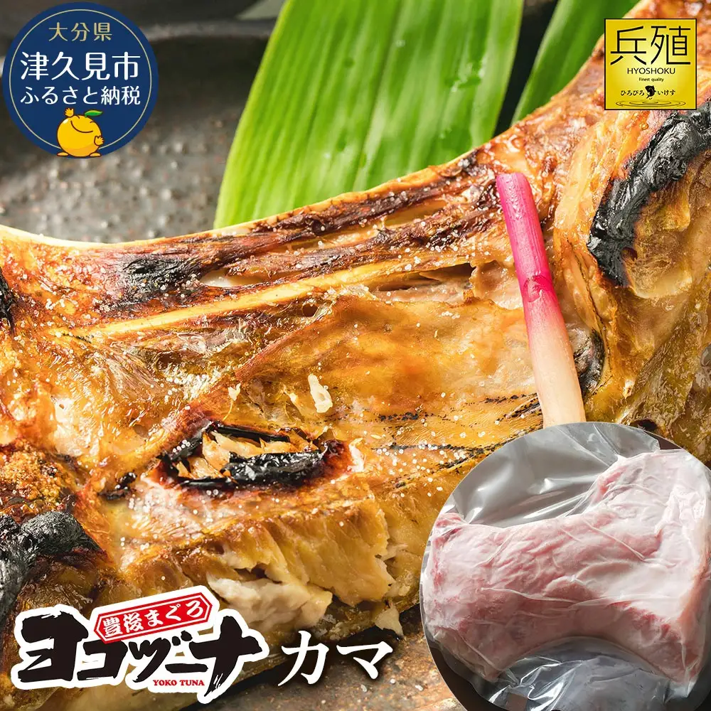 本まぐろ ヨコヅーナ 本まぐろカマ | 津久見市