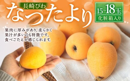 長崎びわ「なつたより」15玉-18玉入り フルーツ 果物 くだもの ビワ 【2026年5月上旬～6月上旬発送予定】