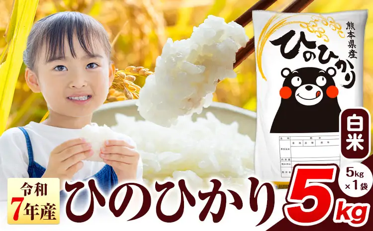 令和7年産 ひのひかり 白米 5kg 
