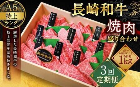 【全3回定期便】【A4～A5特上ランク】長崎和牛 焼肉 盛り合わせ(特上) 約1kg 牛肉 肉 牛 和牛 国産牛 赤身 長崎和牛