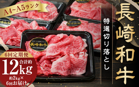 【全6回定期便】【A4～A5ランク】長崎和牛特選切り落とし 約2kg (200g×10パック) 長崎 牛肉 肉 牛 和牛 国産牛 国産 長崎和牛 すき焼き 焼肉 バーベキュー 小分け 冷凍