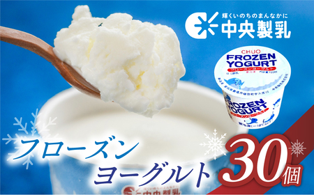 アイス フローズンヨーグルト 30個  アイス 中央製乳