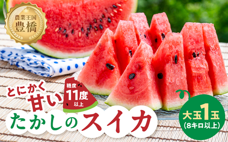 天伯スイカ 1玉 10kg 5L 糖度11 すいか