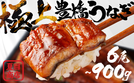 豊橋うなぎ 蒲焼 6尾900g 夏目商店 うなぎ