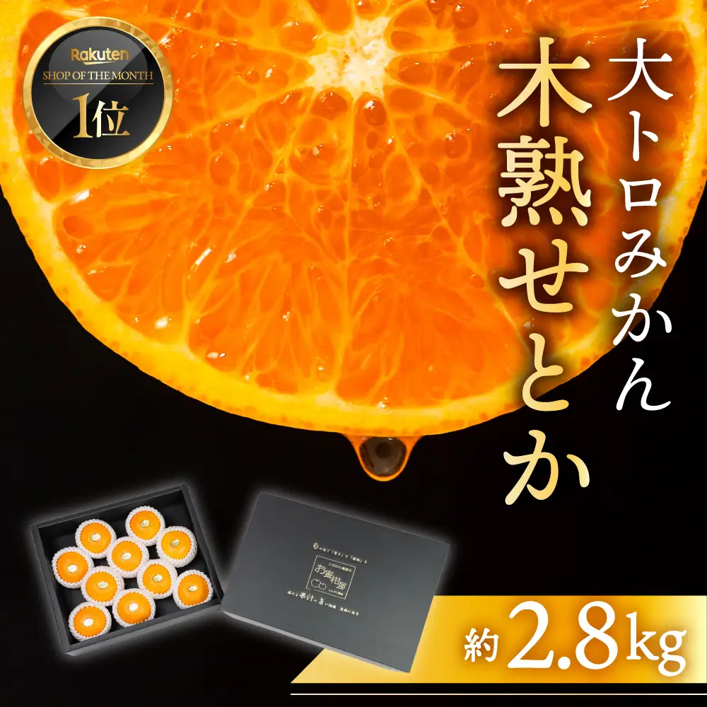 せとか 2.8kg 大トロ 黒化粧箱 みかん