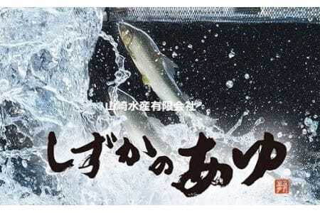 しずかのあゆ 冷凍 10尾 国産 鮎 鮎