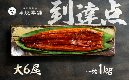 国産うなぎ蒲焼 大6尾 うなぎ