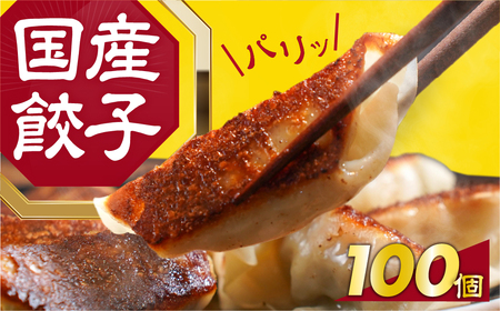 国産素材 冷凍餃子 100個 餃子 餃子