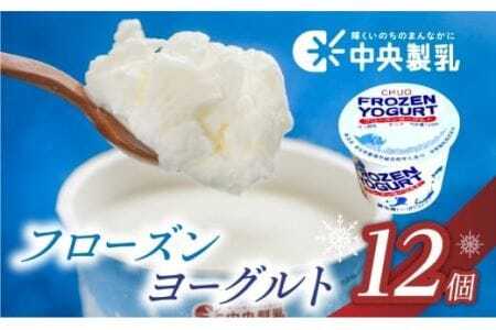 アイス フローズンヨーグルト 12個 アイス 中央製乳