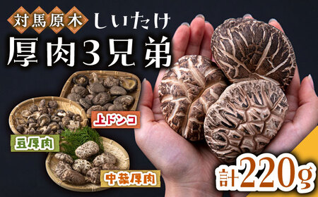 対馬 原木 しいたけ 厚肉 3種 計約220g [WBJ001] きのこ 椎茸 しいたけ 干し シイタケ しいたけ