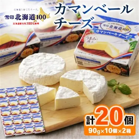 雪印北海道 カマンベールチーズ 2箱(90g×20個入り)_卵・乳製品 チーズ  _【配送不可地域：離島】【1538326】