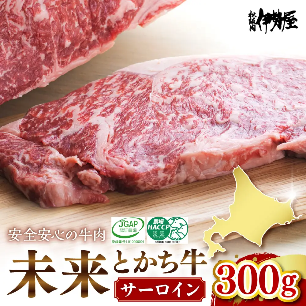 北海道十勝芽室町 未来とかち牛サーロイン　300g 北海道 牛肉 ビーフ ステーキ サーロイン 芽室町　me073-001c