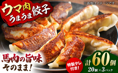 新感覚！ウマ肉うまうま餃子（20個×3パック）【オルガニコ山鹿】[ZFH006]