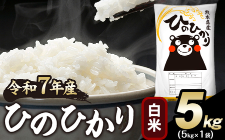 令和7年産 ひのひかり 白米 5kg 《1-5日以内に出荷予定(土日祝除く)》