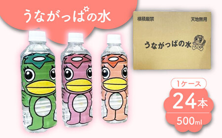 うながっぱの水 1ケース（ 500ml ペットボトル × 24本 ） 1 多治見市 /多治見市観光協会 ミネラルウォーター 備蓄[TAQ006]