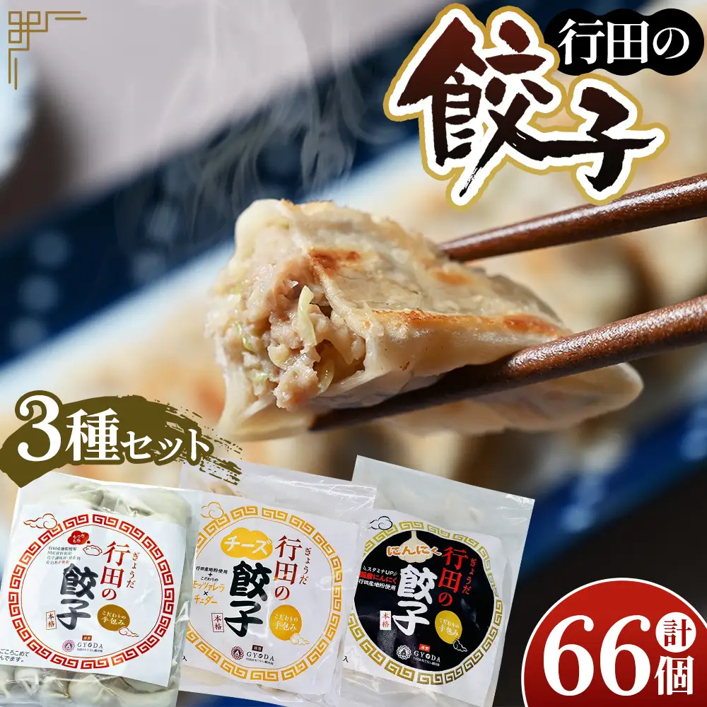 人気の定番「行田の餃子」3種セット No.417