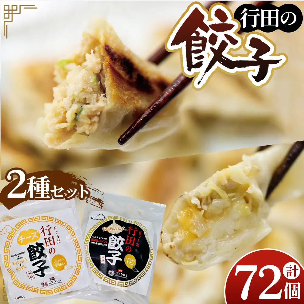 餃子セット（行田のチーズ餃子・行田のにんにく餃子）各2袋 No.419