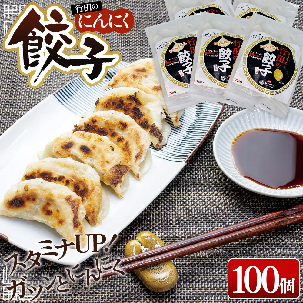 行田のにんにく餃子 5袋セット No.420