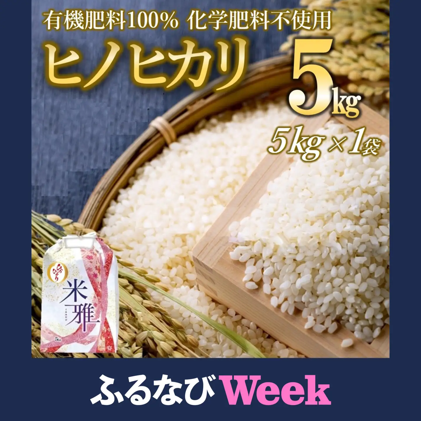 ふるなびWEEK対象】【ふるなび限定】【スピード発送】令和7年産