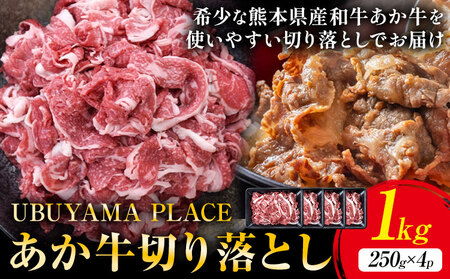 熊本県産 あか牛 切落し 1kg(250g×4パック) UBUYAMAPLACE《60日以内に出荷予定(土日祝除く)》あか牛 ユッケ 肉 小分け 牛肉 和牛
