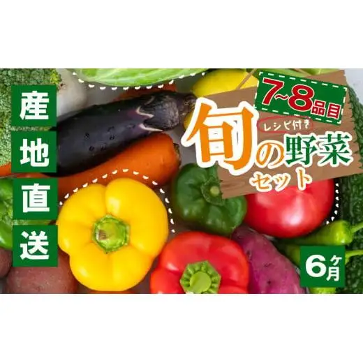 野菜定期便 7品~8品 6ヵ月 産地直送 朝採れ （ 7品 ～ 8品 野菜 セット 詰め合わせ 特産 季節 旬 新鮮 彩 ベジタブル 高知県 須崎市  ）NPO21000