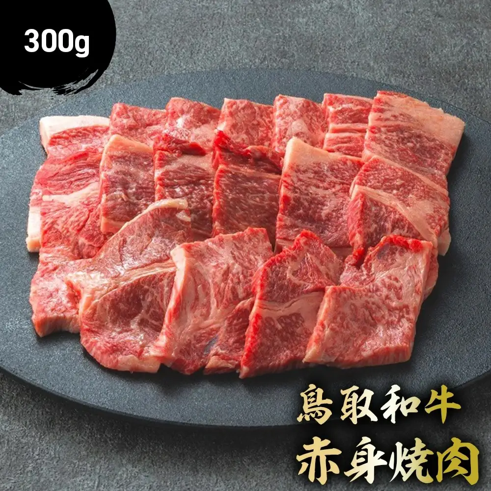 鳥取和牛 赤身焼肉 （300g） 牛肉 焼肉 赤身 KR1077