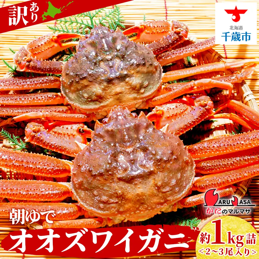 北海道産【 朝ゆで 】訳ありオオズワイガニ 1.0kg詰 ＜かにのマルマサ＞