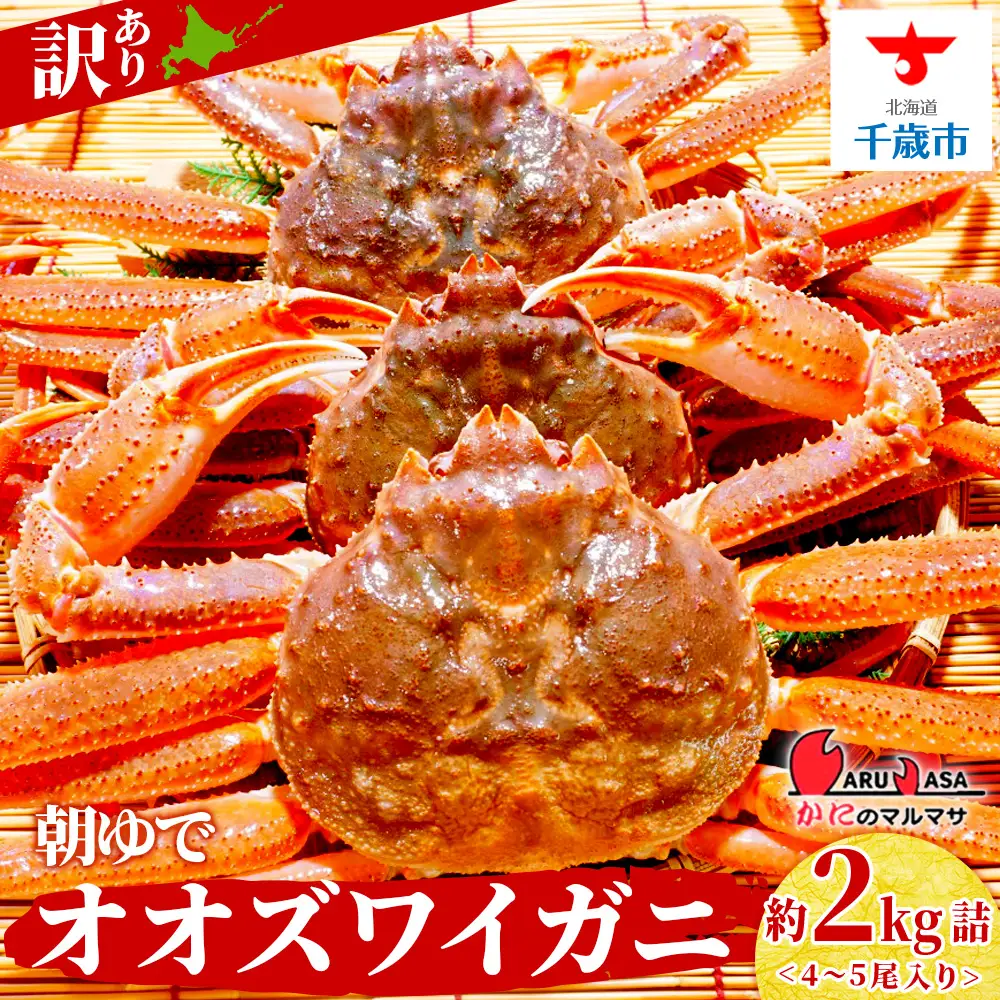 北海道産【 朝ゆで 】訳ありオオズワイガニ 2.0kg ＜かにのマルマサ＞