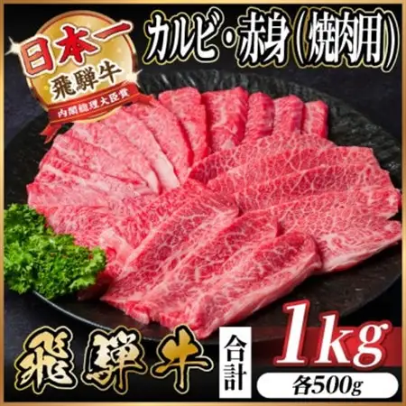 飛騨牛 厳選カルビ・赤身(焼肉・BBQ用) 1kg(各500g)　黒毛和牛　小分け　A4～A5等級_肉 焼肉 牛肉 やきにく ヤキニク バーベキュー  肉 飛騨牛 牛肉 うし ビーフ_【配送不可地域：離島】【1543764】