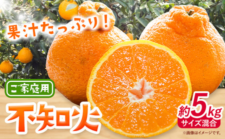 みかん 不知火 ご家庭用 5kg サイズ混合