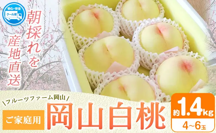 岡山白桃 1.4kg フルーツファーム岡山