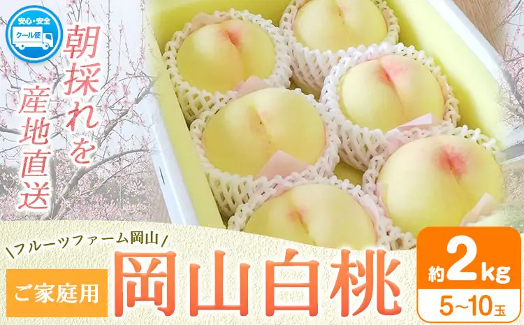 岡山白桃 2kg フルーツファーム岡山