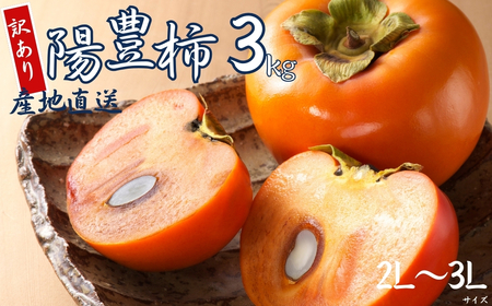 【 訳あり 】令和8年産 陽豊柿 3kg ( 2L~ 3L ) 10-12個 カキ かき 果物 くだもの フルーツ サイズ不揃い 表面 キズ 色ムラ 家庭用規格 のため 訳アリ わけあり 自宅用 家庭用 岐阜県 本巣市 高橋柿ファーム 先行予約 11月上旬～ 発送予定 [mt1662] 8000円 [mt1662_26]	