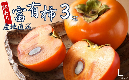 【 訳あり 】令和8年産 富有柿 3kg Lサイズ 14個 カキ かき 果物 くだもの フルーツ 表面 キズ 色ムラ 家庭用規格 のため 訳アリ わけあり 自宅用 家庭用 岐阜県 本巣市 高橋柿ファーム 先行予約 11月中旬～ 発送予定 [mt1664] 7000円 [mt1664_26]	