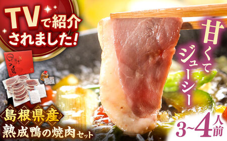 鴨肉 島根県産野草ミネラル熟成鴨の焼肉セット（3から4人前） [AIDC001] 鴨肉