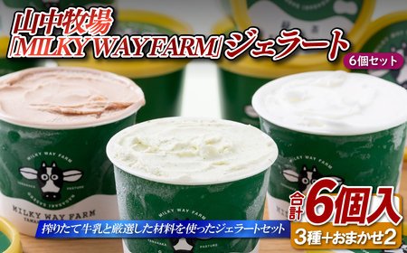 山中牧場「MILKY WAY FARM」ジェラート（６個）