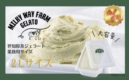 山中牧場「MILKY WAY FARM」ジェラート 業務用(２L)サイズ〈世知原茶〉  ｜アイスジェラート お茶 緑茶 デザート スイーツ 人気