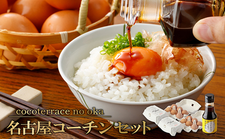 【高級】名古屋コーチンセット（2パックと醤油）【JGAP認証】 卵 卵かけご飯 TKG 高級卵かけご飯 朝食 朝ごはん 贈り物 ギフト たまご醤油 卵かけご飯用醤油 手土産 プレゼント 卵かけご飯セット 絶品 グルメ お取り寄せ 愛知県 常滑市